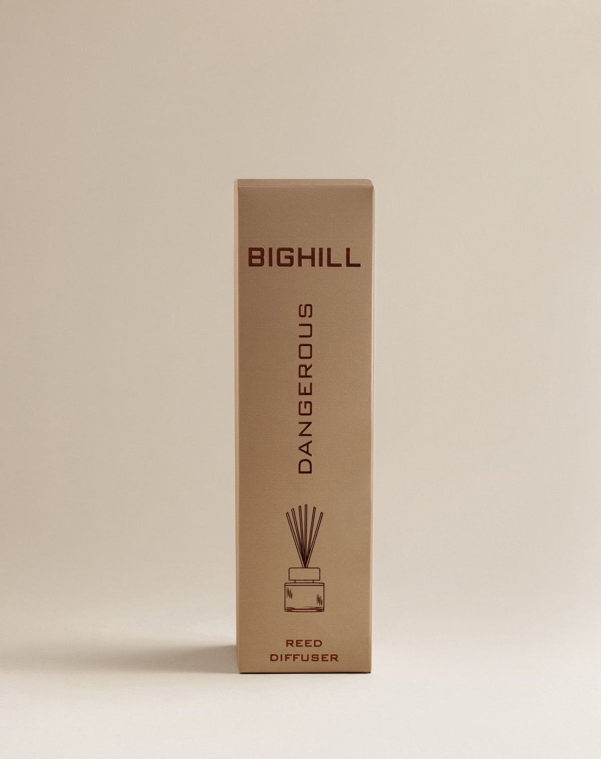 BIGHILL REED DIFFUSER - BIG RD10 DANGEROUS - 120ML – Eyfel Parfum